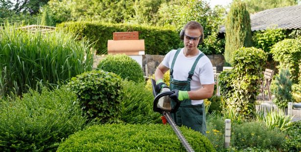 gewerbliche-landschaftsbauunternehmen-72_3 Gewerbliche Landschaftsbauunternehmen