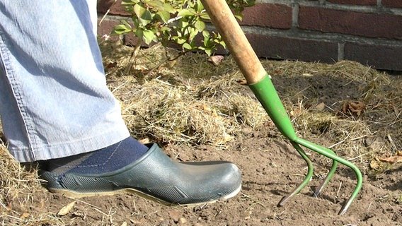 gartenboden-verbessern-70_11 Gartenboden verbessern