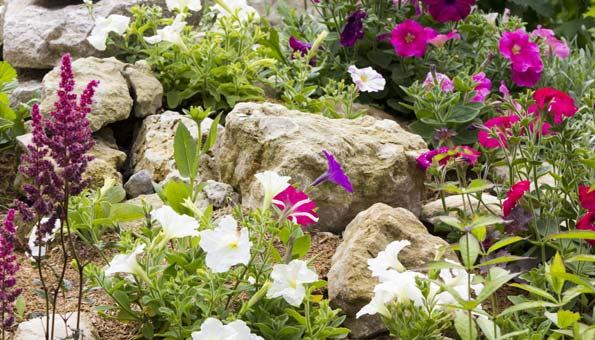 gartengestaltung-mit-steinen-und-pflanzen-52_10 Gartengestaltung mit steinen und pflanzen