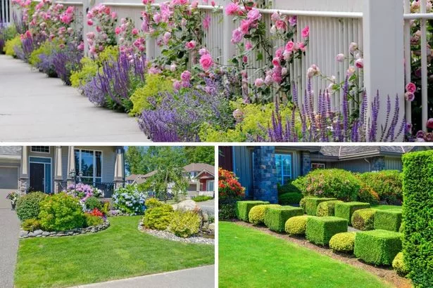 blumen-fur-die-gartengestaltung-im-vorgarten-77-1 Blumen für die Gartengestaltung im Vorgarten