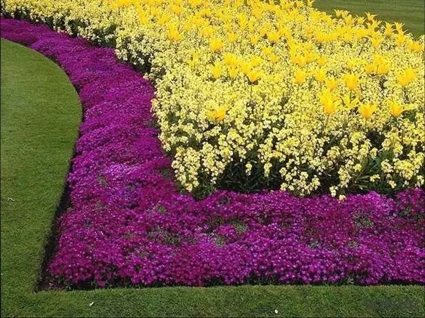 grenzen-fur-blumengarten-91_14-5 Grenzen für Blumengärten
