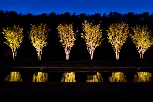 landschaftsbeleuchtung-baume-70_10-3 Landschaftsbeleuchtung Bäume