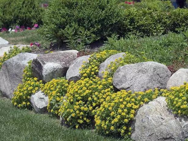 steine-fur-blumenbeetrander-85_10-4 Steine für Blumenbeetränder