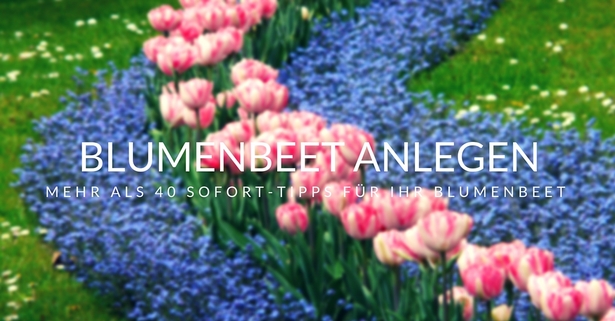 blumenbeet-anlegen-ideen-68_8 Blumenbeet anlegen ideen