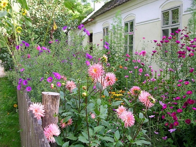 blumengarten-anlegen-72_10 Blumengarten anlegen