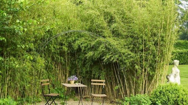 gartengestaltung-bambus-83_3 Gartengestaltung bambus