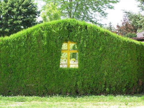 Gartengestaltung hecke