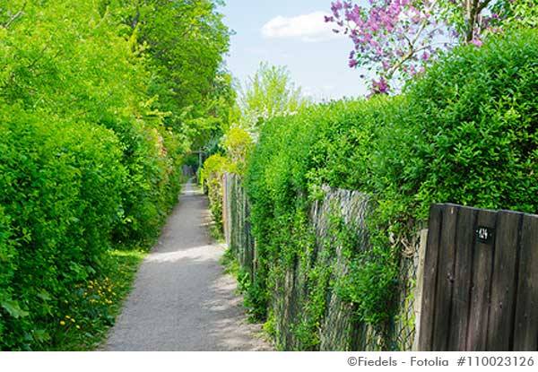 gartengestaltung-hecke-02_9 Gartengestaltung hecke