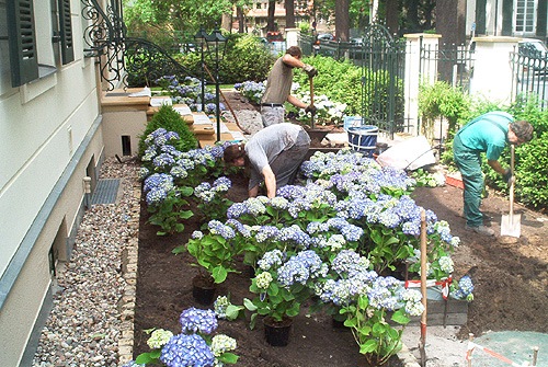 gartengestaltung-mit-rosen-81_5 Gartengestaltung mit rosen