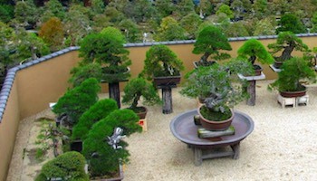 japanischer-bonsai-garten-18_2 Japanischer bonsai garten
