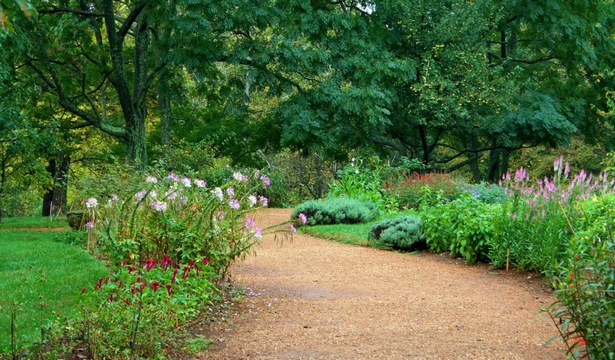 naturnaher-garten-anlegen-92_9 Naturnaher garten anlegen