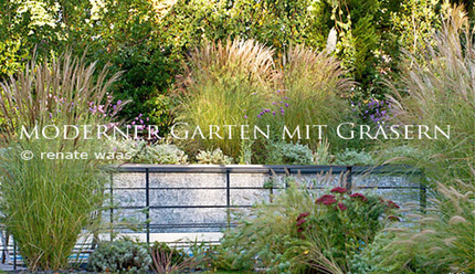 pflanzen-fur-moderne-garten-00 Pflanzen für moderne gärten