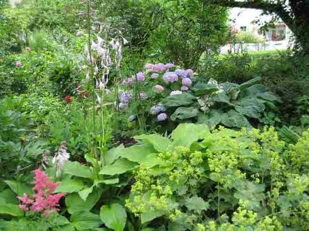 schone-garten-fur-sparsame-98_15 Schöne gärten für sparsame