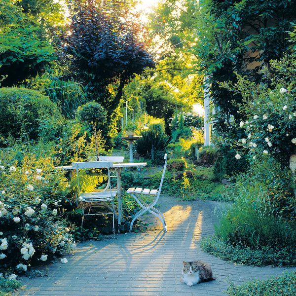 schone-garten-fur-sparsame-98_9 Schöne gärten für sparsame