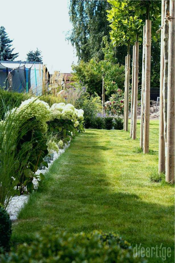 rasen anlegen kleingarten reihenhausgarten schmal schmaler gestaltung aerona vorgarten gärten