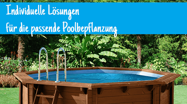 poolbepflanzung-64_2 Poolbepflanzung