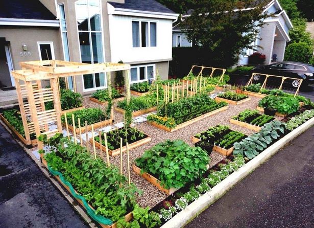 angehoben-veggie-garten-ideen-91_7 Raised veggie garden ideas