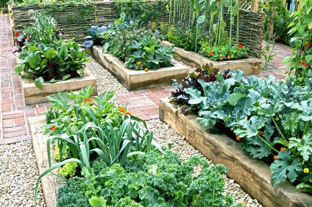 angehoben-veggie-garten-ideen-91_9 Raised veggie garden ideas