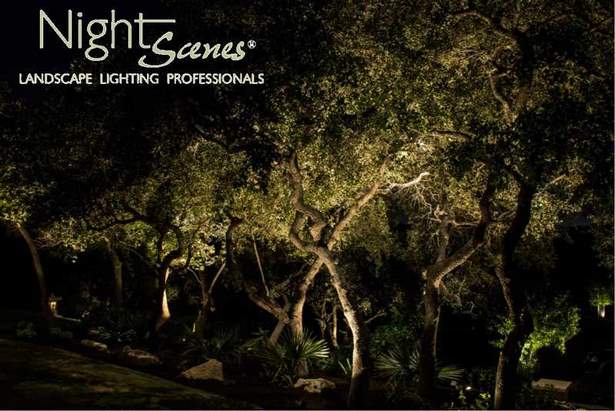 aussenbeleuchtung-ideen-baume-95_4 Outdoor lighting ideas trees