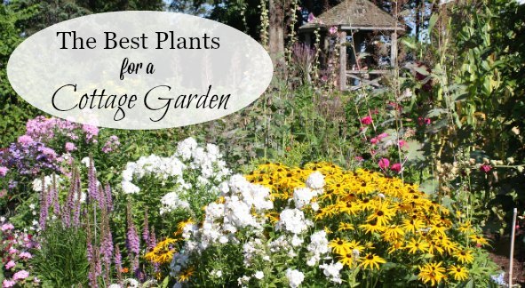 cottage-garten-pflanzen-ideen-89_10 Cottage garden plants ideas