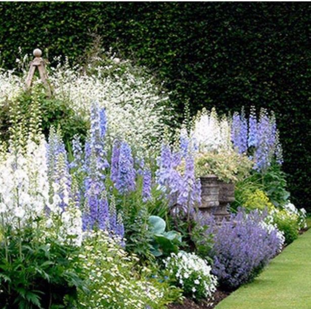 cottage-garten-pflanzen-ideen-89_6 Cottage garden plants ideas