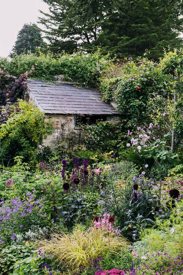 cottage-garten-straucher-ideen-85 Cottage garden shrubs ideas