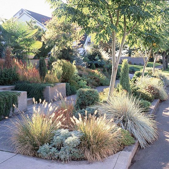 durre-tolerante-garten-design-ideen-43_4 Drought tolerant garden design ideas