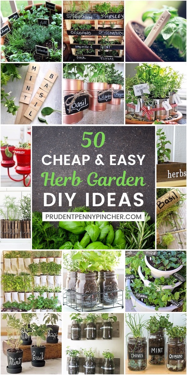 einfach-zu-tun-garten-ideen-40_5 Easy to do garden ideas