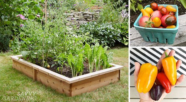 erhohte-gemusegarten-design-ideen-35_15 Raised vegetable garden design ideas