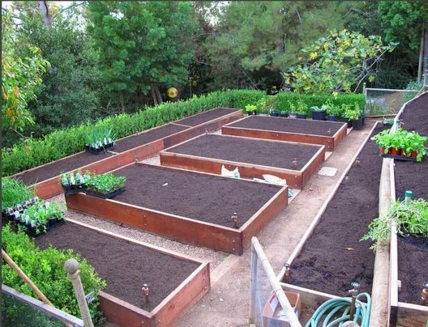 erhohte-gemusegarten-design-ideen-35_16 Raised vegetable garden design ideas