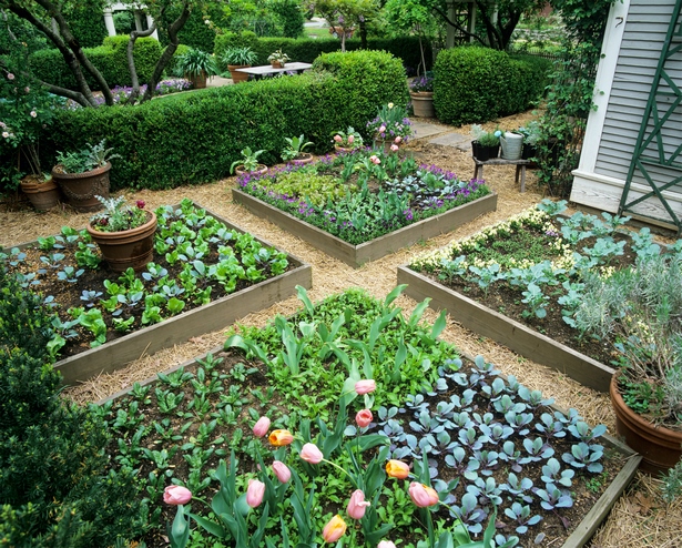 erhohte-gemusegarten-design-ideen-35_17 Raised vegetable garden design ideas