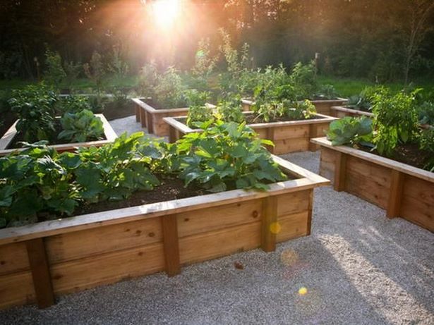 erhohte-gemusegarten-design-ideen-35_6 Raised vegetable garden design ideas