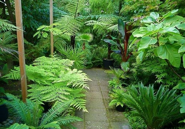 farn-garten-design-ideen-01_19 Fern garden design ideas