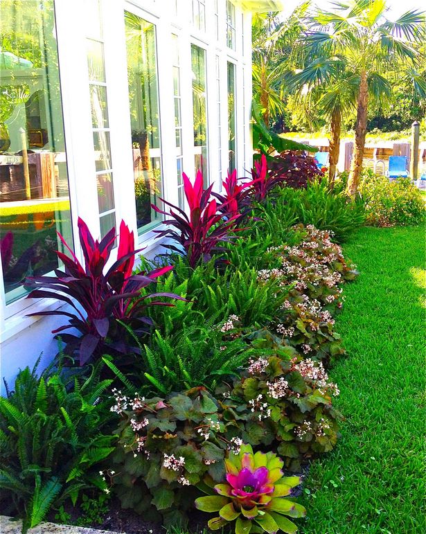 florida-tropische-landschaftsgestaltung-ideen-55_20 Florida tropical landscaping ideas