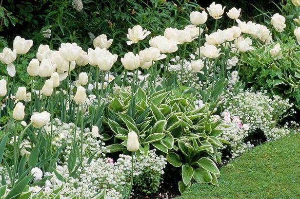 garten-blume-grenze-ideen-50_6 Garden flower border ideas