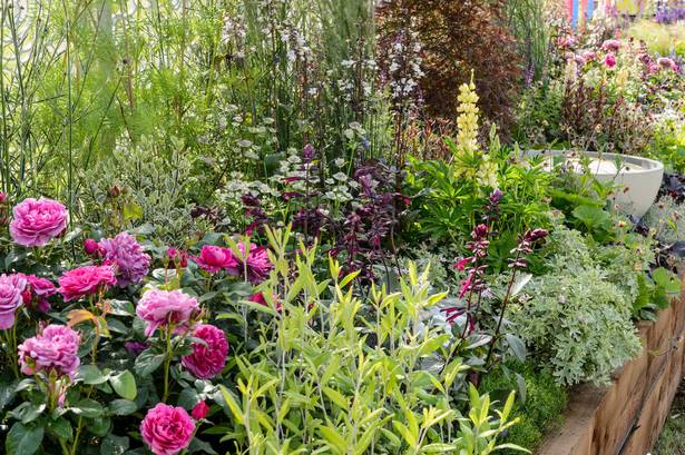 garten-grenze-ideen-designs-41_13 Garden border ideas designs