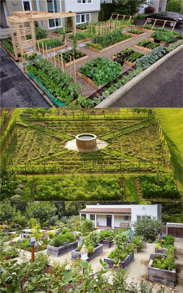 gemusegarten-designs-und-ideen-97_12 Vegetable garden designs and ideas