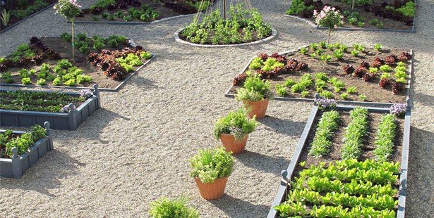 gemusegarten-designs-und-ideen-97_8 Vegetable garden designs and ideas