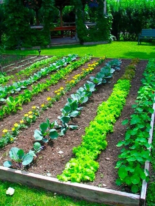 gemusegarten-grenze-ideen-88_10 Vegetable garden border ideas