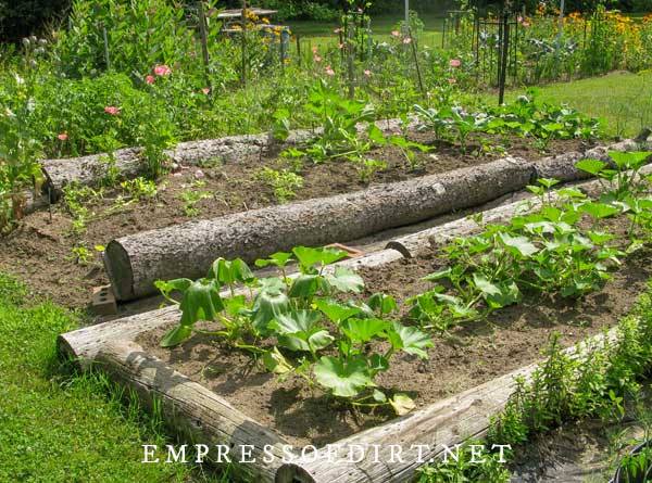gemusegarten-grenze-ideen-88_18 Vegetable garden border ideas