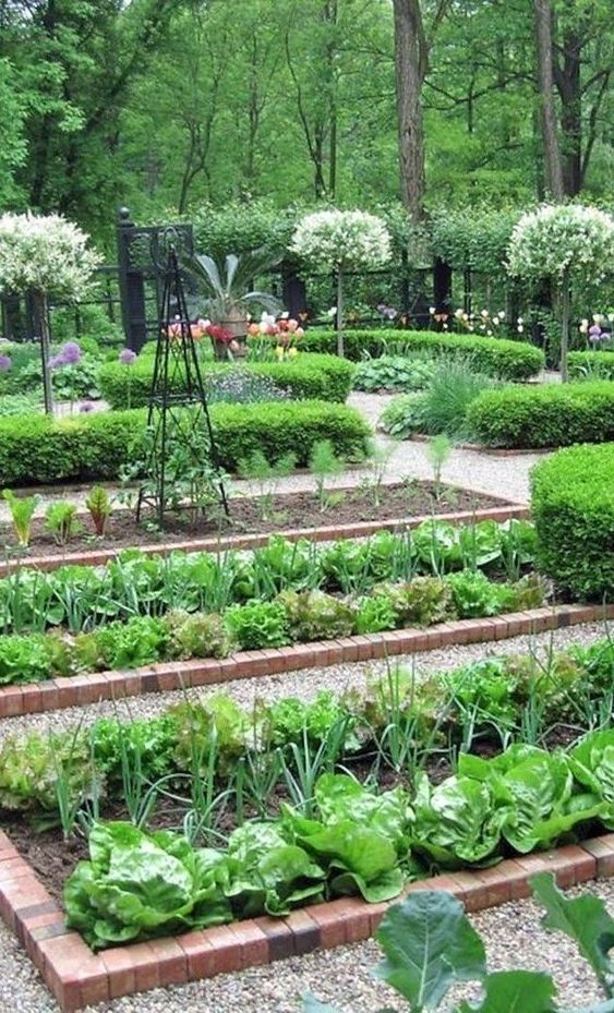 gemusegarten-ideen-und-designs-78_12 Vegetable garden ideas and designs