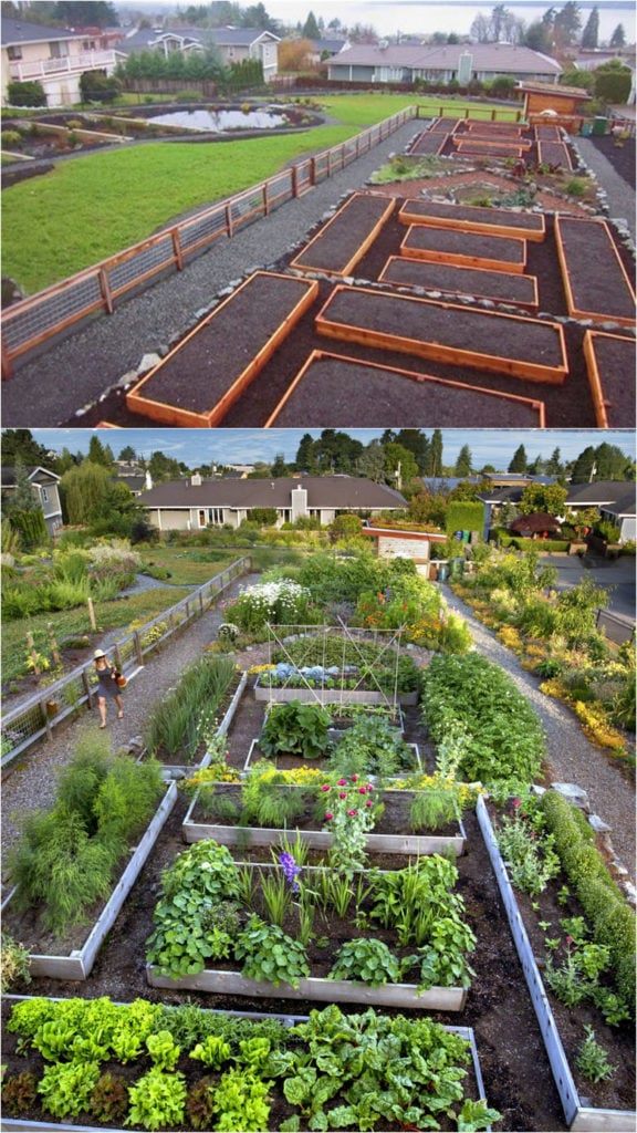 gemusegarten-ideen-und-designs-78_14 Vegetable garden ideas and designs