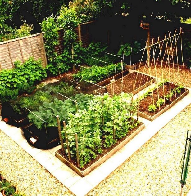 gemusegarten-ideen-und-designs-78_7 Vegetable garden ideas and designs