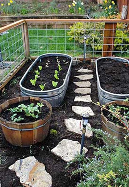 gemusegarten-kanten-ideen-50_17 Vegetable garden edging ideas