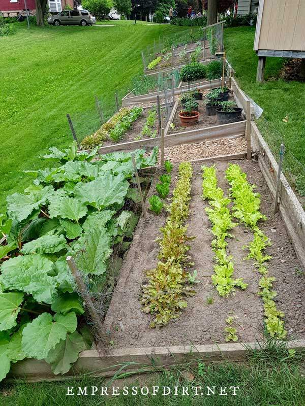 gemusegarten-kanten-ideen-50_19 Vegetable garden edging ideas
