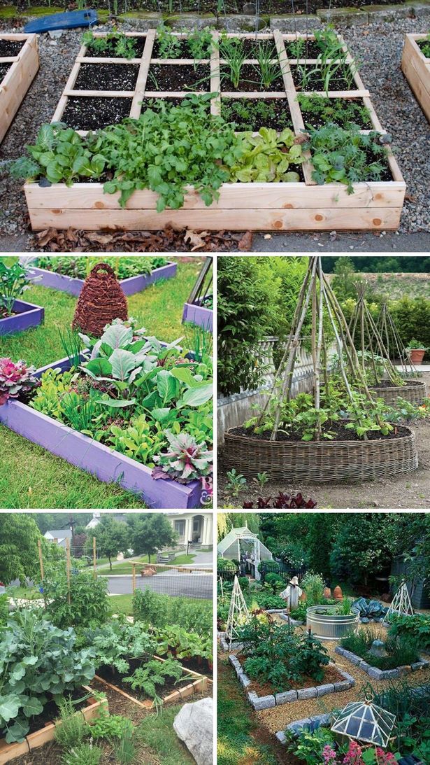 gemusegarten-kanten-ideen-50_9 Vegetable garden edging ideas