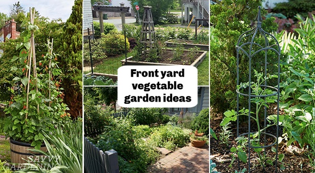 gemusegarten-landschaftsbau-ideen-22_19 Vegetable garden landscaping ideas
