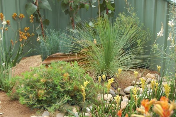 heimische-australische-garten-design-ideen-76_14 Native australian garden design ideas