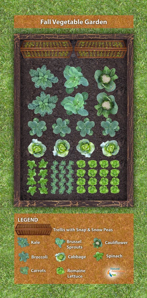 herbst-gemusegarten-ideen-86_18 Fall vegetable garden ideas