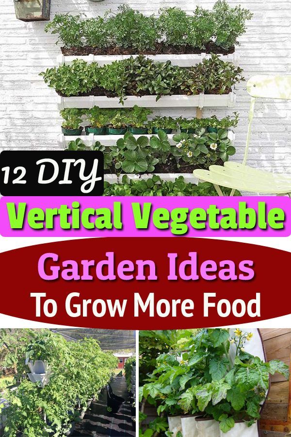 herbst-gemusegarten-ideen-86_3 Fall vegetable garden ideas